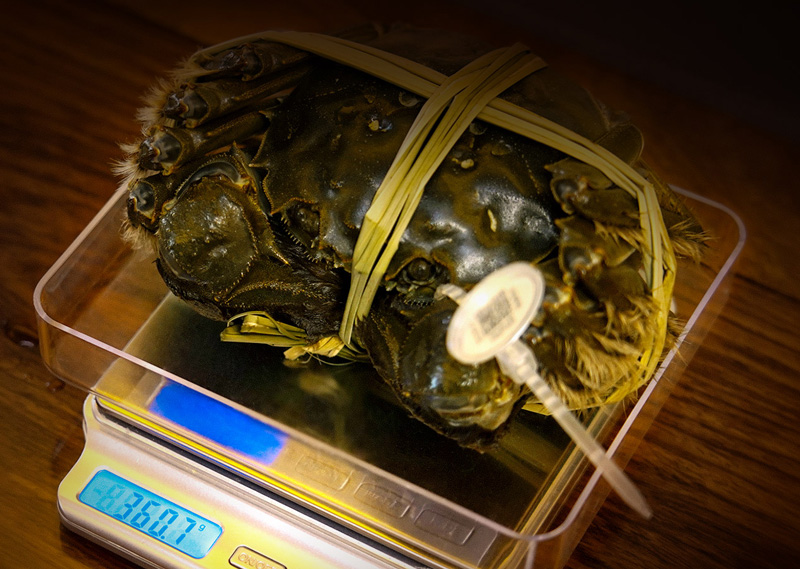 阳澄湖大闸蟹美食