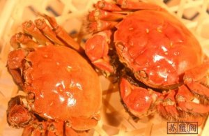 蜂蜜问收季，食蟹忌生蟹！